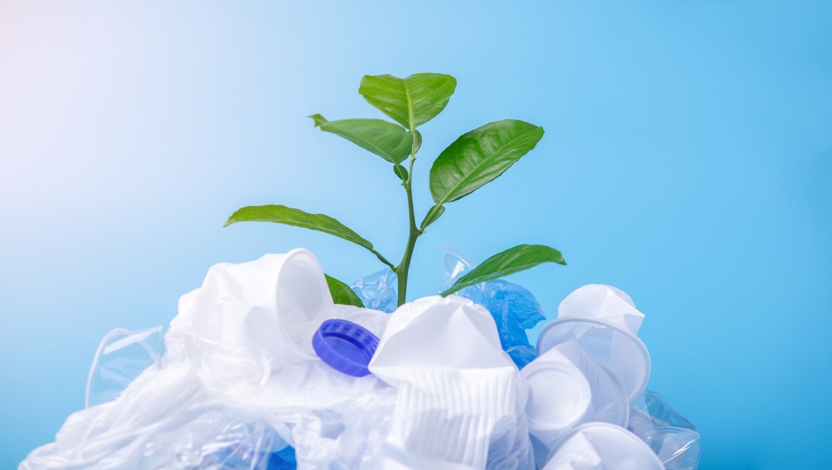 Green plant growing over a mountain of plastics