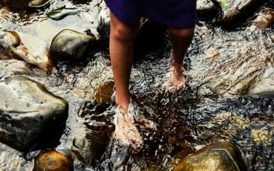 Navigating Uncertainty